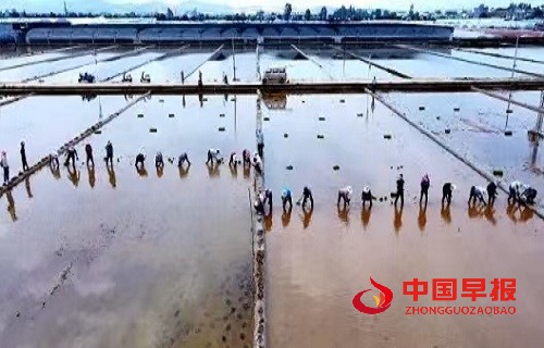 微信图片_20250425085559.jpg