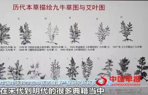 微信图片_20250427111243.jpg