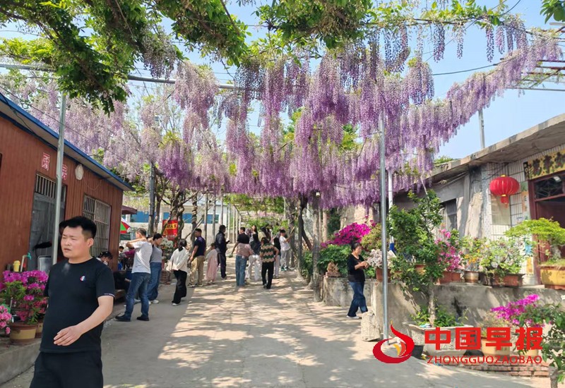 微信图片_20250508143815_副本.jpg