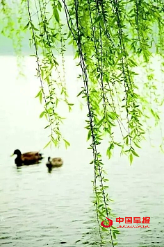 微信图片_20250603191832.png