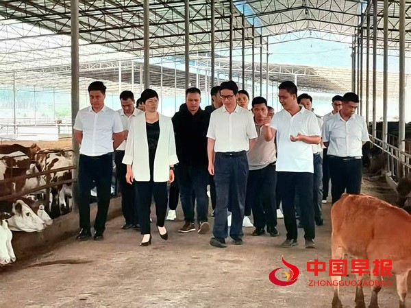 微信图片_20250611204807.jpg