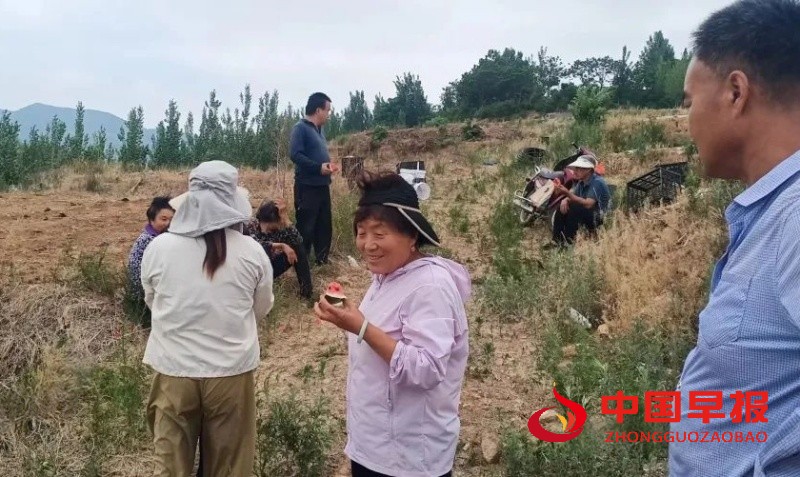 微信图片_20250615003109_副本.jpg