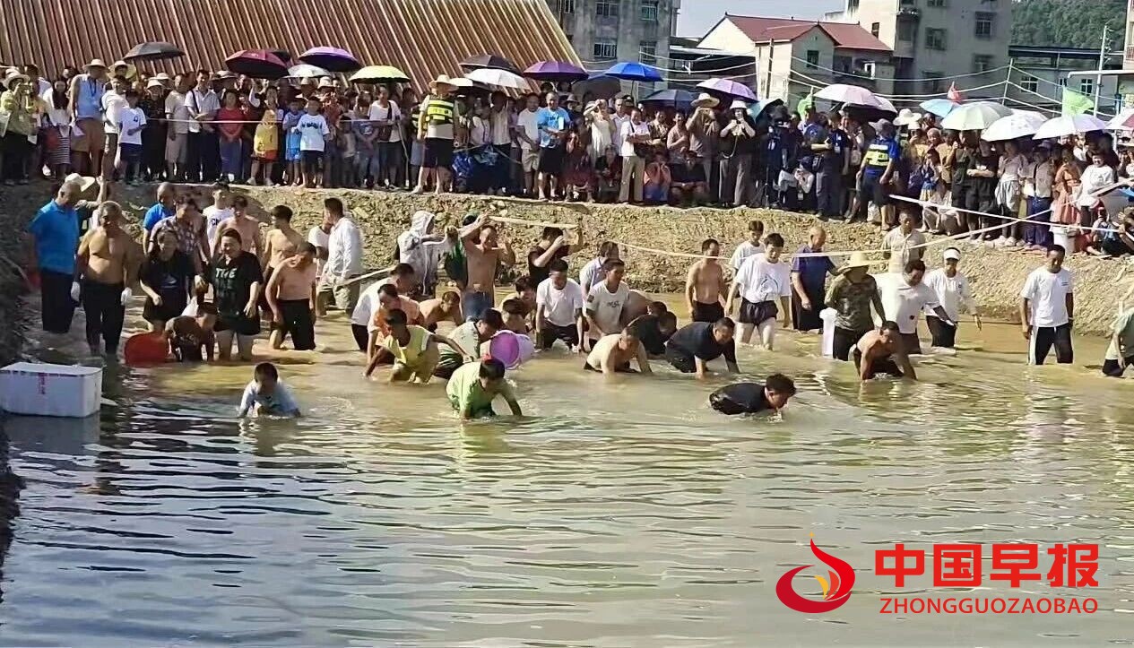 图片08.jpg