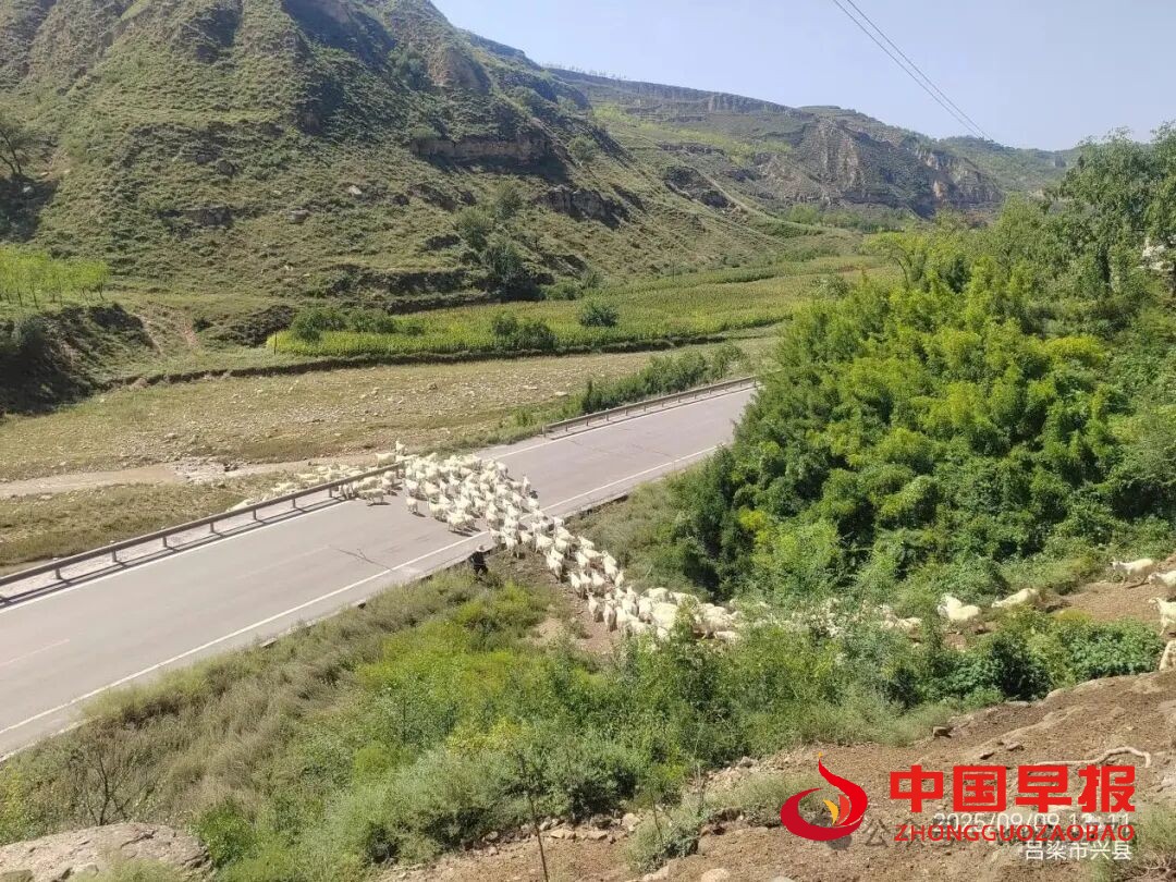 图片02.jpg
