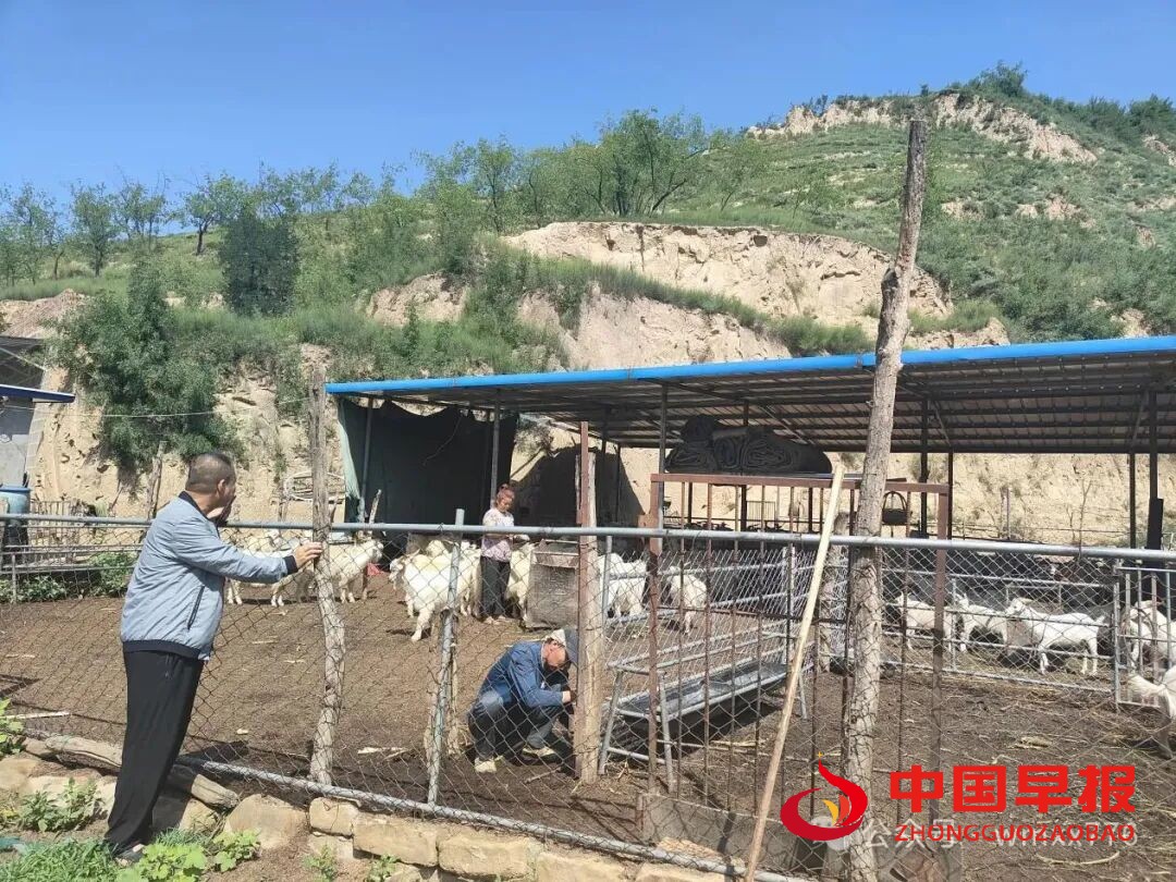 图片06.jpg