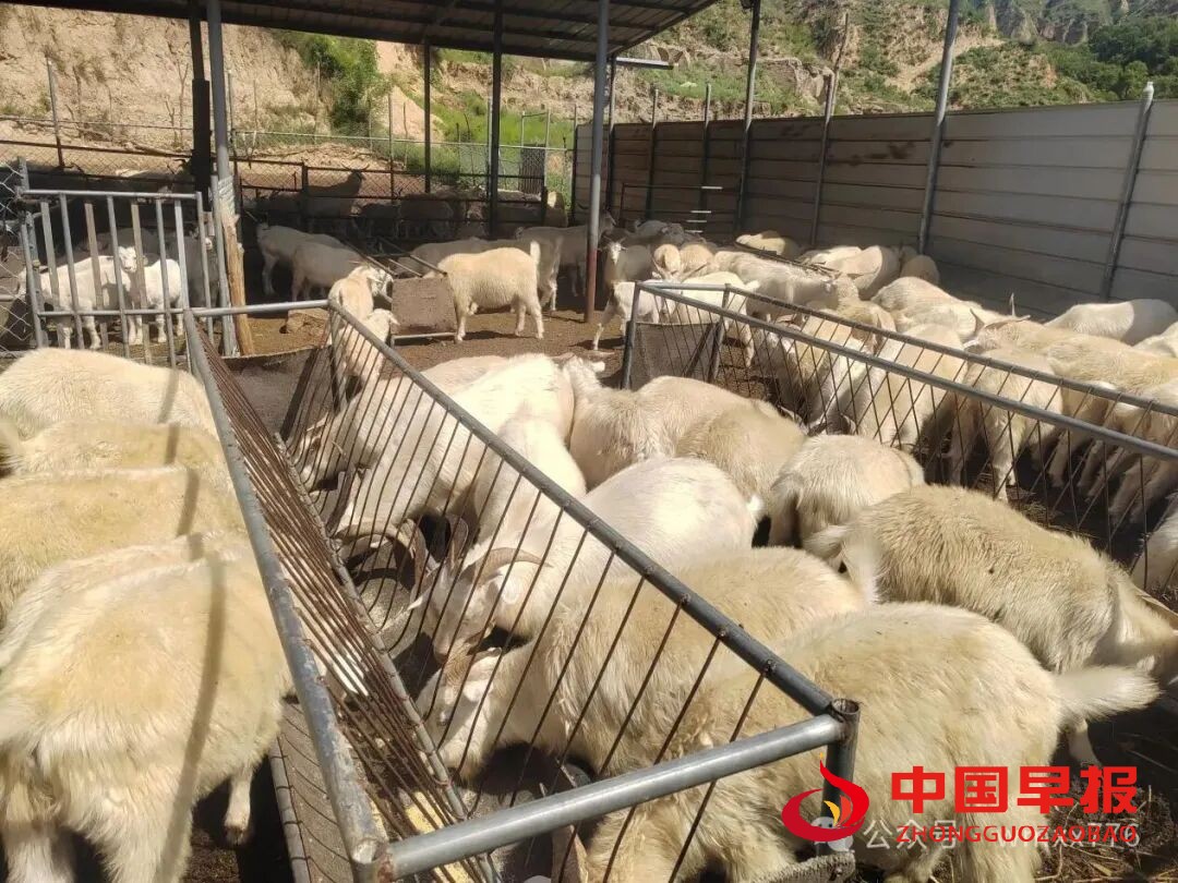 图片09.jpg