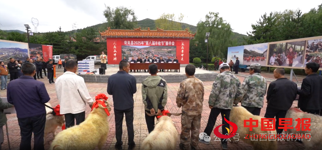 图片05.png