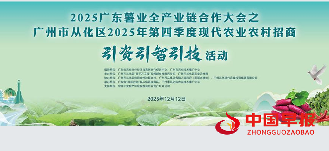 1765619731143703.png 11.png