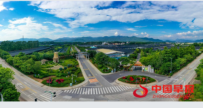 1765623557177706.png 2.png