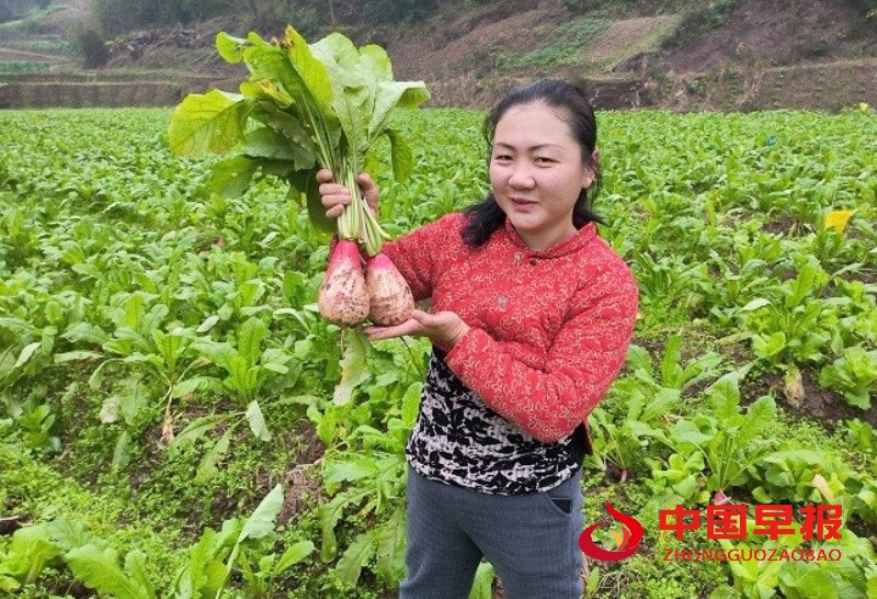 1766125567159736.jpg 2_副本.jpg