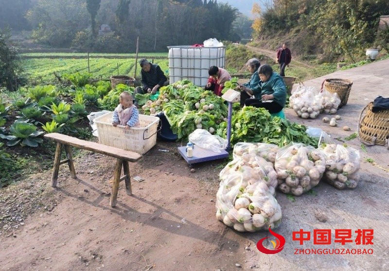 1766125591176810.jpg 5_副本.jpg